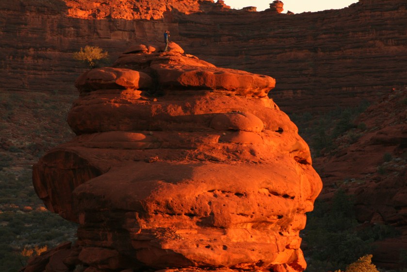 Palm Valley near Alice Springs 109.jpg