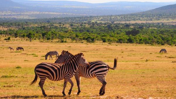 kenya tourism case study