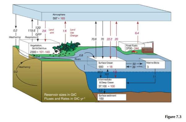 Carbon Cycle